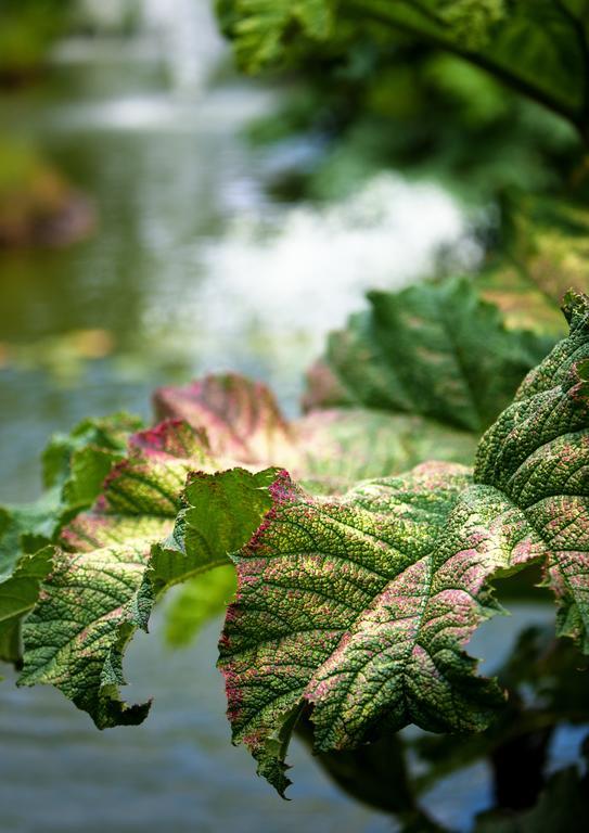 Egrove Park, University Of Oxford Dış mekan fotoğraf