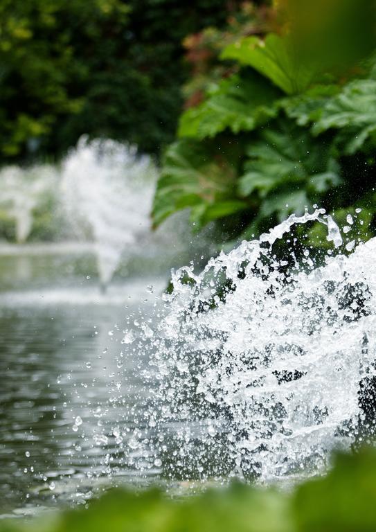 Egrove Park, University Of Oxford Dış mekan fotoğraf
