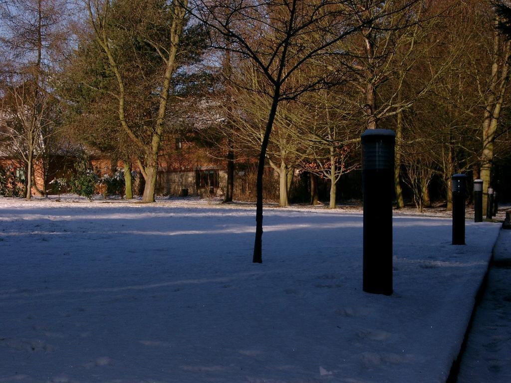 Egrove Park, University Of Oxford Oda fotoğraf