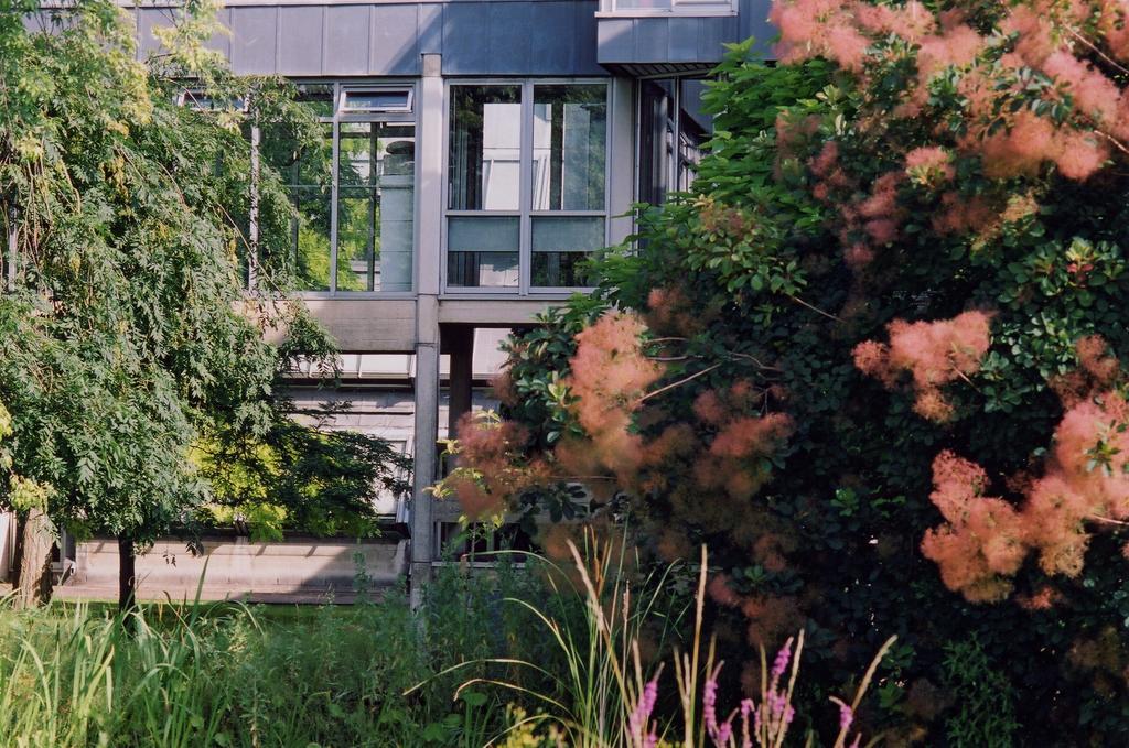 Egrove Park, University Of Oxford Dış mekan fotoğraf